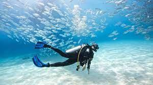 Scuba Diving in Dubai