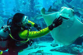 Scuba Diving in Dubai