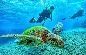 Scuba Diving in Dubai