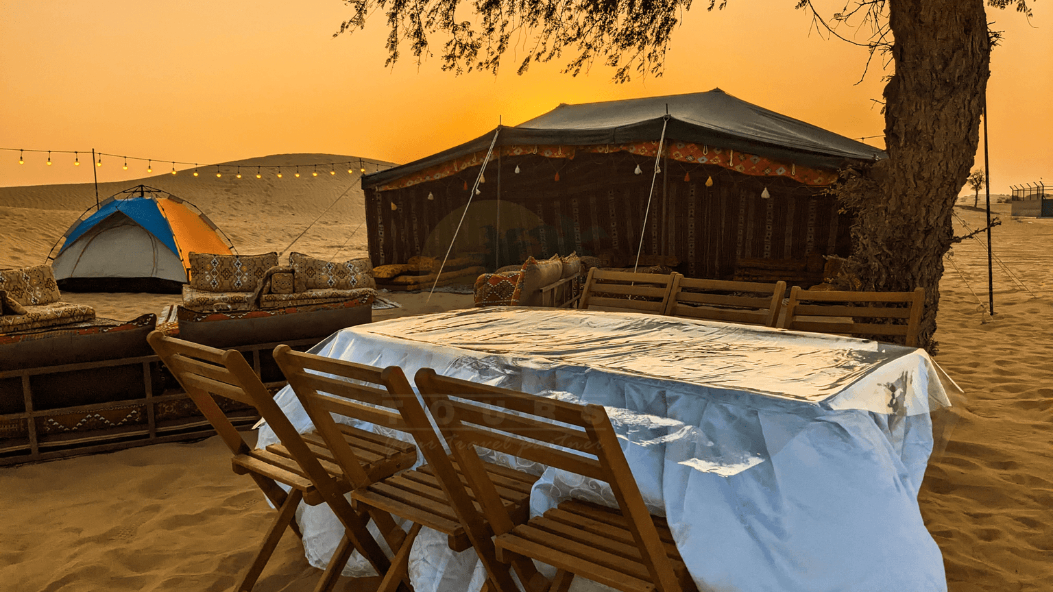 Lama Camp