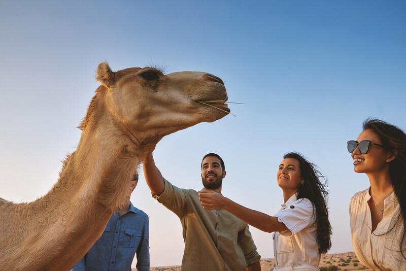 Morning Desert Safari Tour Dubai