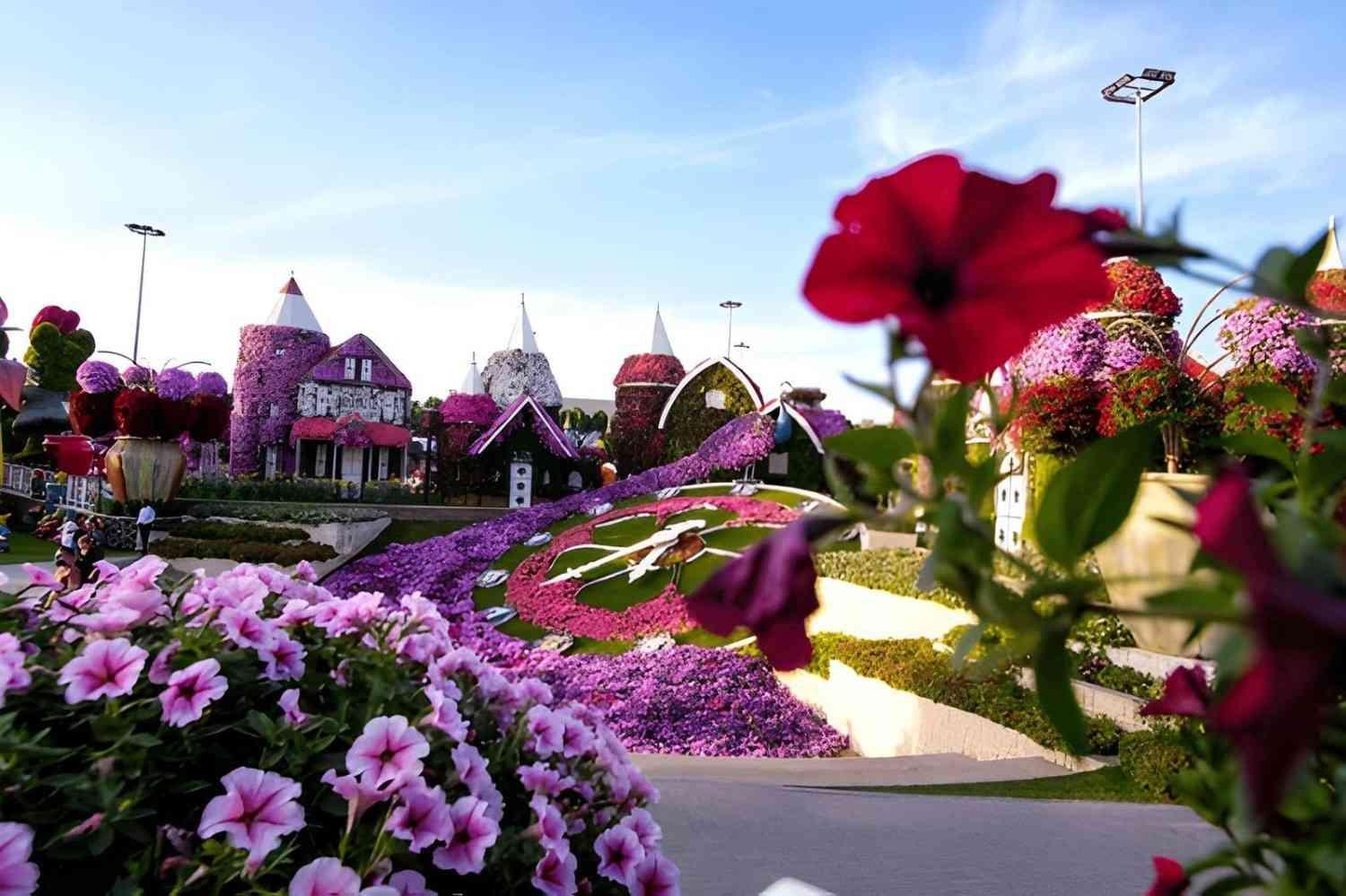 Dubai Butterfly Garden Tickets