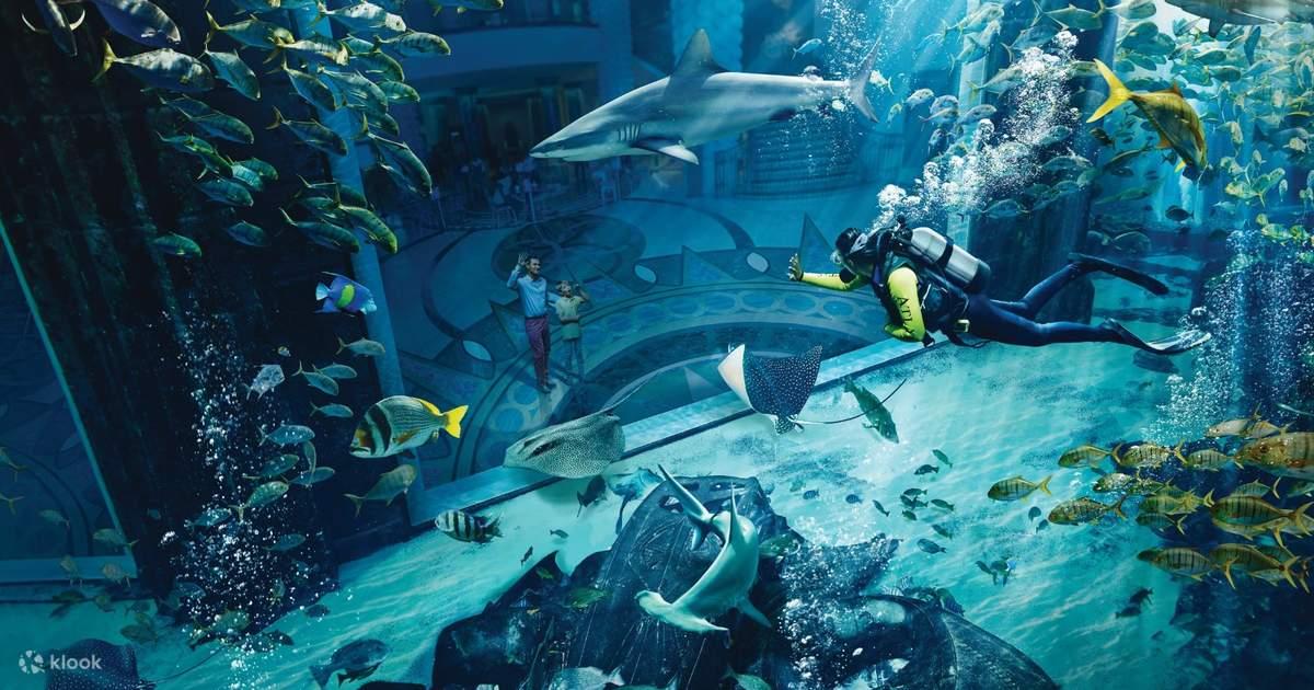 Dubai Aquarium & Underwater Zoo Tickets